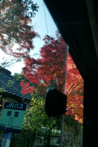 バス停の民家の紅葉が美しい
