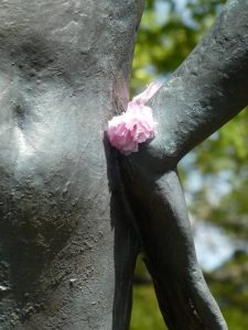 智恵子の生まれた故郷を歩く⑱