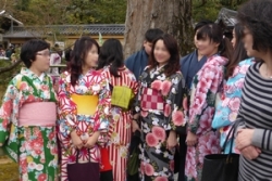 今年の花見は京都の金閣寺、そして平野神社