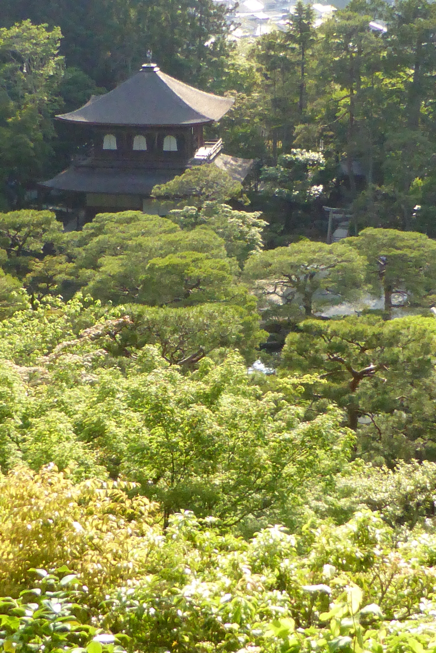 銀閣寺門と背景の東山