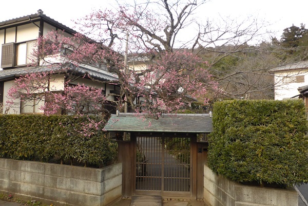 22-58　鎌倉の家