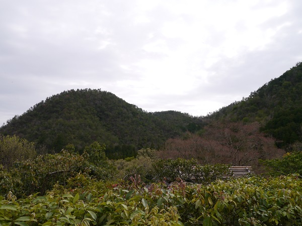 光悦寺から見た山
