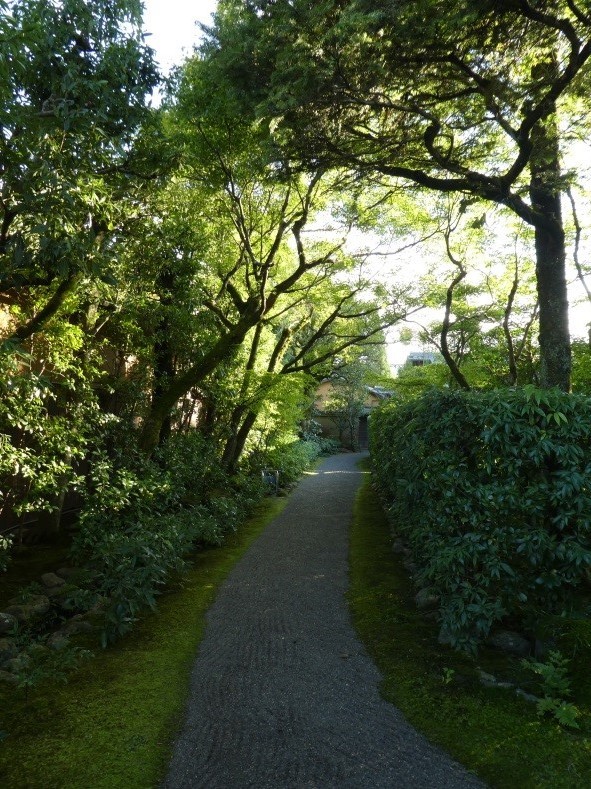 今年の秋⑤ 上賀茂神社への道-その3-