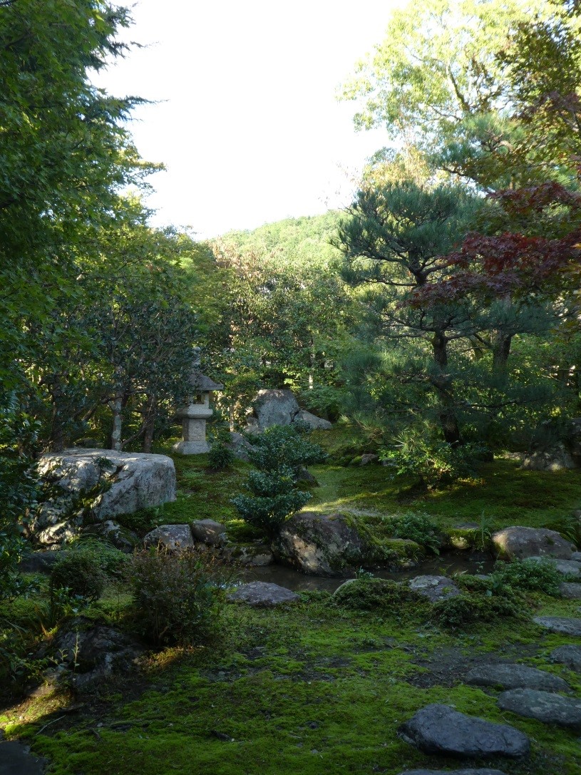 今年の秋⑤ 上賀茂神社への道-その4-