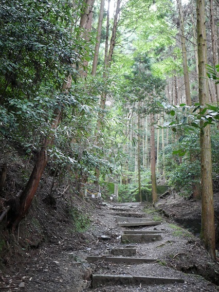 墓への道はこんな感じ