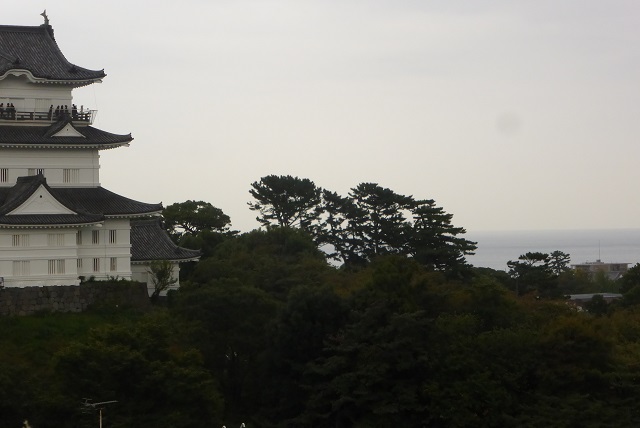 小田原城と海