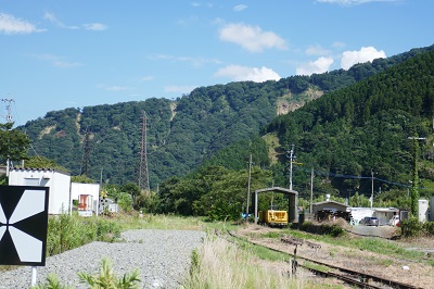 ３本の爪で引っ搔いたような傷跡が