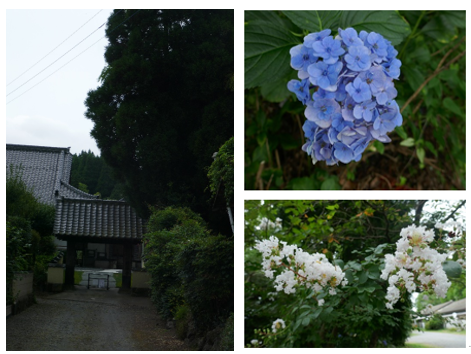 町も花もひっそりとして