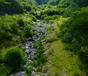 川の水はどこに行くのか