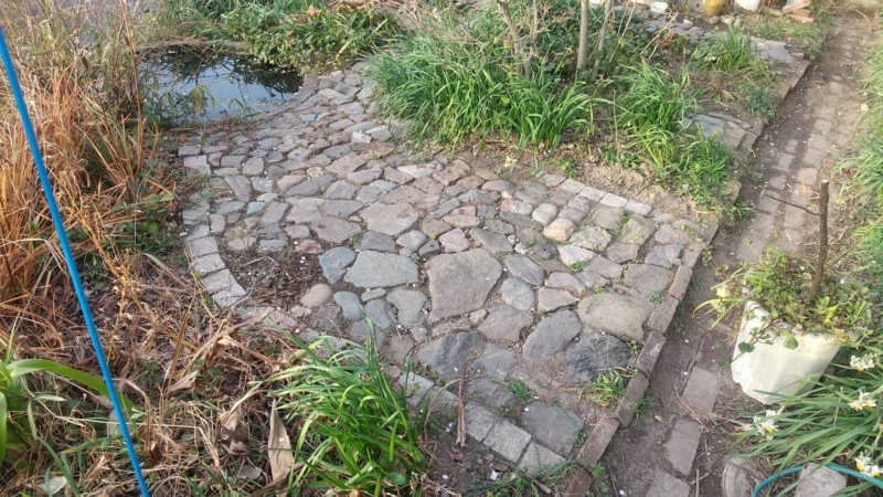 がんばって、荒れた庭の手入れをする